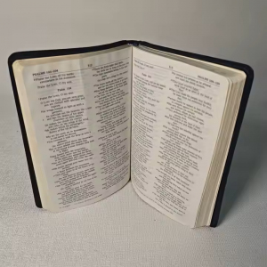 bible 2