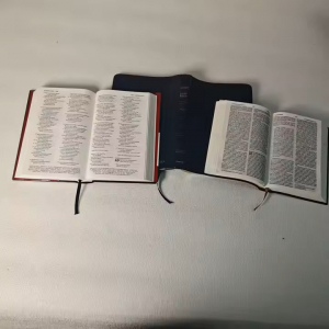 bible 3