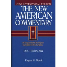 Deuteronomy: New American Commentary [NAC]