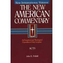 Acts: New American Commentary [NAC]