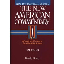 Galatians: New American Commentary [NAC]
