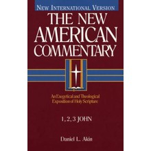 1, 2, & 3 John: New American Commentary [NAC]