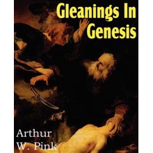 Gleanings in Genesis