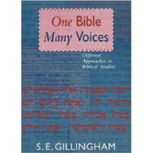 One Bible- Many Voices: Different Approaches to Biblical Studies