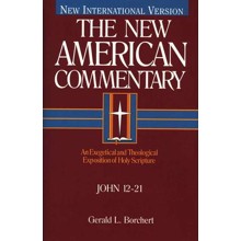 John 12-21: New American Commentary [NAC]