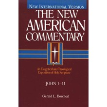 John 1-11: New American Commentary [NAC]