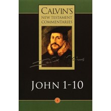 Gospel of John: Calvin's New Testament Commentary