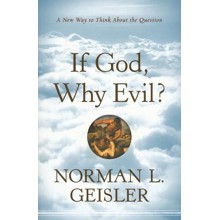 If God, Why Evil?: A New Way to Think about the Question