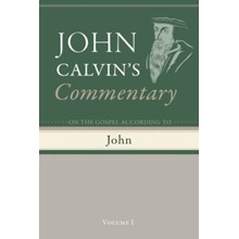 Commentary on the Gospel According to John, Volume 1