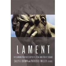 Lament: Reclaiming Practices in Pulpit, Pew, and Public Square