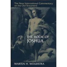 Book of Joshua: New International Commentary on the Old Testament