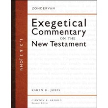 1, 2 & 3 John: Zondervan Exegetical Commentary on the New Testament [ZECNT]