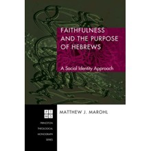 Faithfulness and the Purpose of Hebrews