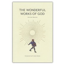The Wonderful Works of God: Instructions in the Christian Religion According to the Reformed Confession