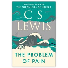 The Problem of Pain