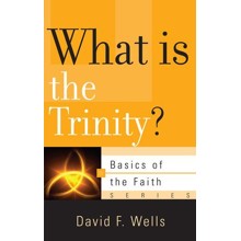 What Is The Trinity? (Basics of the Faith)