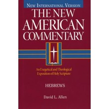 Hebrews: New American Commentary [NAC]