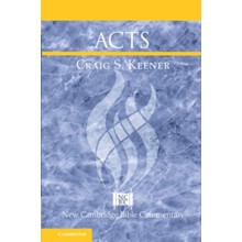 Acts: New Cambridge Bible Commentary