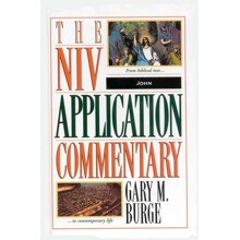 John: NIV Application Commentary [NIVAC]