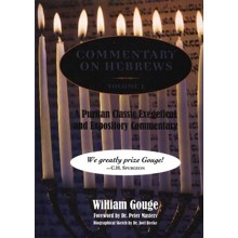 Commentary on Hebrews Volume 1