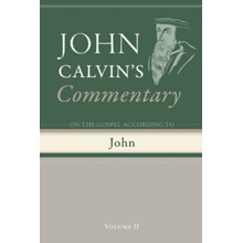 Commentary on the Gospel According to John, Volume 2
