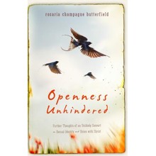 Openness Unhindered: Further Thoughts of an Unlikely Convert on Sexual Identity and Union with Christ