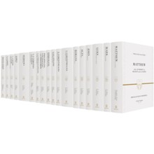 Preaching the Word New Testament Commentary, 19 Volumes