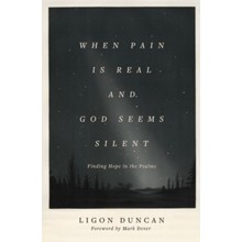 When Pain Is Real and God Seems Silent: Finding Hope in the Psalms
