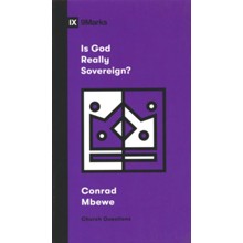 Is God Really Sovereign?