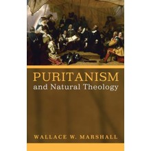 Puritanism and Natural Theology [Paperback]
