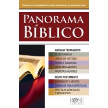 Bible Overview Pamphlet - Spanish Edition