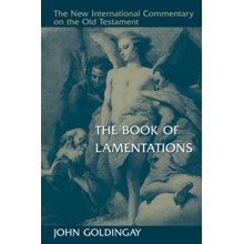 The Book of Lamentations: New International Commentary on the Old Testament