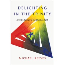 Delighting in the Trinity: An Introduction to the Christian Faith