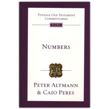 Numbers: An Introduction and Commentary