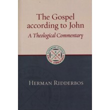 The Gospel according to John: A Theological Commentary [ECBC]
