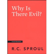 Why Is There Evil?