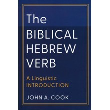 The Biblical Hebrew Verb: A Linguistic Introduction