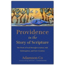 Providence in the Story of Scripture: The Work of God through Creation, Fall, Redemption, and New Creation