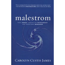 Malestrom: How Jesus Dismantles Patriarchy and Redefines Manhood