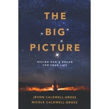 The Big Picture: Seeing God's Dream for Your Life