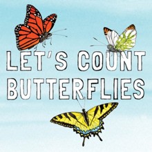 Let's Count Butterflies