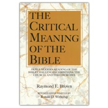 The Critical Meaning of the Bible: How a Modern Reading of the Bible Challenges Christians the Church