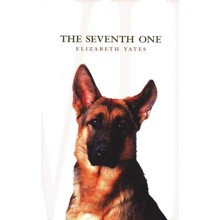 The Seventh One