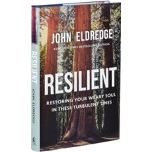 Resilient: Restoring Your Weary Soul in These Turbulent Times