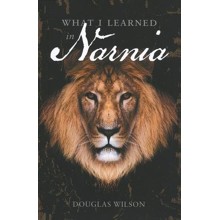 What I Learned in Narnia