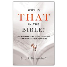 Why Is That in the Bible?: The Most Perplexing Verses and Stories-and What They Teach Us
