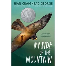 My Side of the Mountain, Paperback
