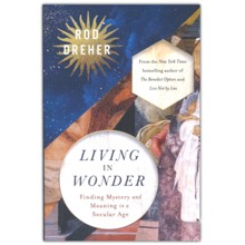Living in Wonder: Finding Mystery and Meaning in a Secular Age