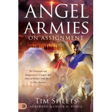 Angel Armies on Assignment: The Divisions of Angels and Assignments of Angels and How to Partner with Them