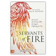 Servants of Fire: Secrets of the Unseen War and Angels Fighting For You